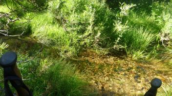 Upper Transect Channel (right to left)