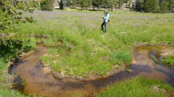 Upper Transect Channel (right to left)