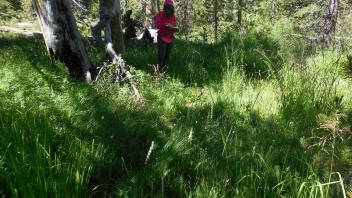 Upper Transect Channel (right to left)