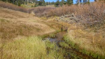 Upper Transect Channel (upstream)