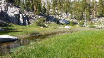 Upper Transect Channel (upstream)