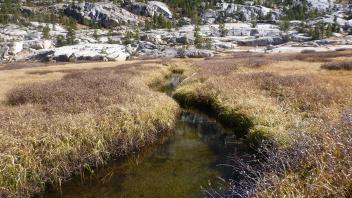 Upper Transect Channel (upstream)