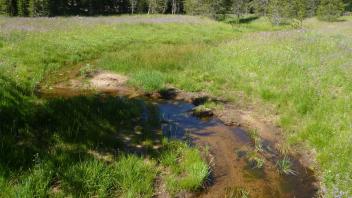 Upper Transect Channel (upstream)