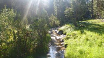 Upper Transect Channel (upstream)