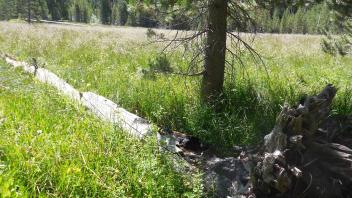 Upper Transect Channel (upstream)