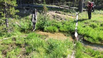 Upper Transect Channel 2 (right to left)