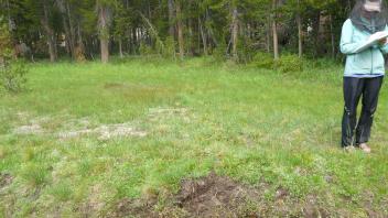 Upper Transect Channel 2 Left to Right