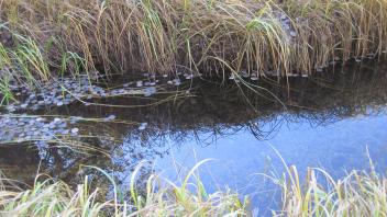 Upper Transect Channel Left to Right
