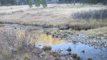 Upper Transect Channel Left to Right