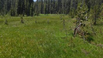 Upper Transect Channel Left to Right