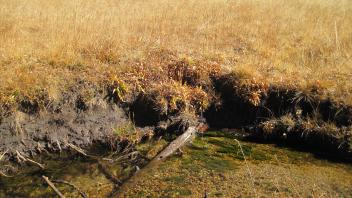 Upper Transect Channel Left to Right