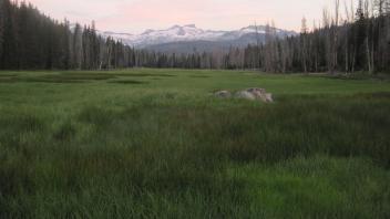 Upper Transect Channel Right to Left