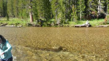 Upper Transect Channel Right to Left