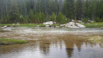 Upper Transect Channel Right to Left