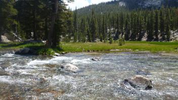 Upper Transect Channel Right to Left