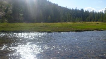 Upper Transect Channel Right to Left
