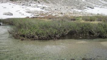Upper Transect Channel Right to Left