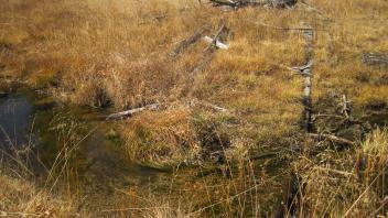 Upper Transect Channel Right to Left