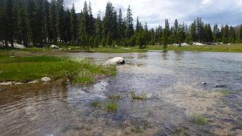 Upper Transect Downstream