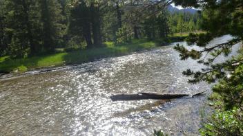 Upper Transect Downstream