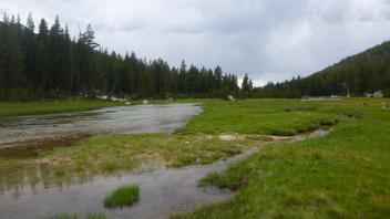 Upper Transect Downstream