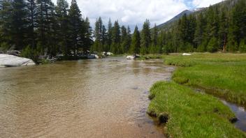 Upper Transect Downstream