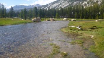 Upper Transect Downstream