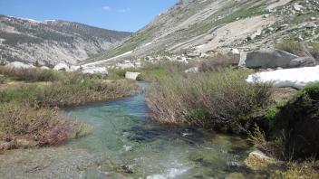Upper Transect Downstream