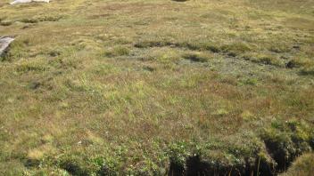 Upper Transect Left to Right Channel Across 1