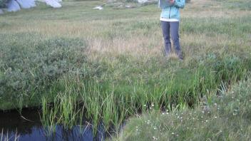 Upper Transect Left to Right Channel Across