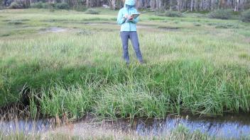 Upper Transect Left to Right Channel Across