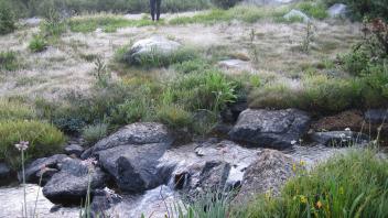 Upper Transect Left to Right Channel Across
