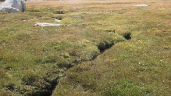 Upper Transect Left to Right Channel Upstream 1