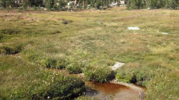 Upper Transect Left to Right Channel Upstream 2