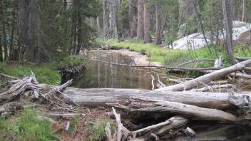 Upper Transect Left to Right Downstream