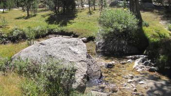 Upper Transect Left to Right Downstream