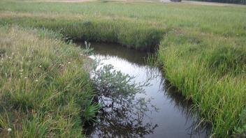 Upper Transect Left to Right Downstream
