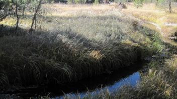 Upper Transect Left to Right Overview