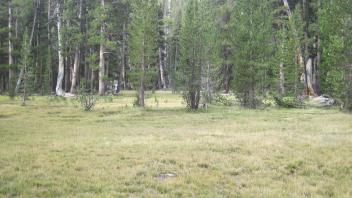 Upper Transect Left to Right Overview