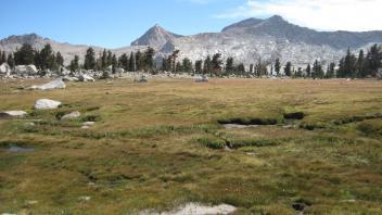 Upper Transect Left to Right Overview