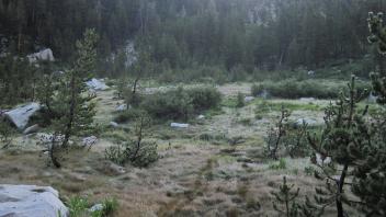 Upper Transect Left to Right Overview