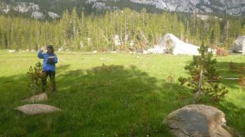 Upper Transect Left to Right Overview