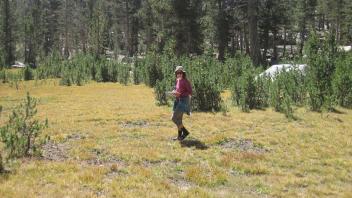Upper Transect Left to Right Overview