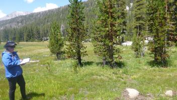 Upper Transect Left to Right Overview