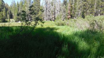 Upper Transect Left to Right Overview