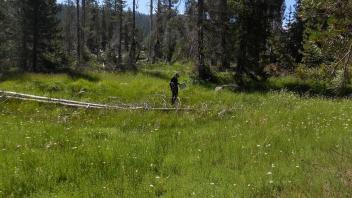 Upper Transect Left to Right Overview