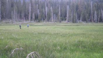 Upper Transect Left to Right Overview