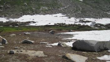 Upper Transect Left to Right Overview