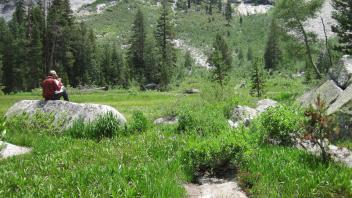 Upper Transect Left to Right Overview
