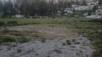 Upper Transect Left to Right Overview
